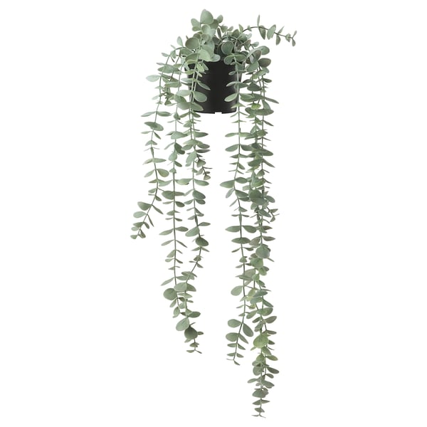 FEJKA Artificial potted plant, indoor/outdoor hanging/eucalyptus, 3 ½" IKEA