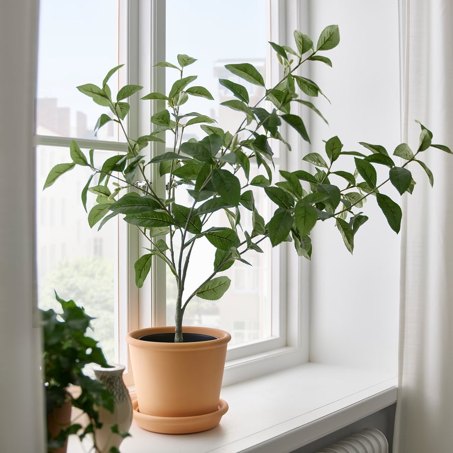 FEJKA Artificial potted plant, indoor/outdoor lemon, 6" IKEA