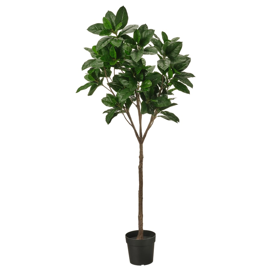 FEJKA artificial potted plant, indoor/outdoor Magnolia, 9" IKEA
