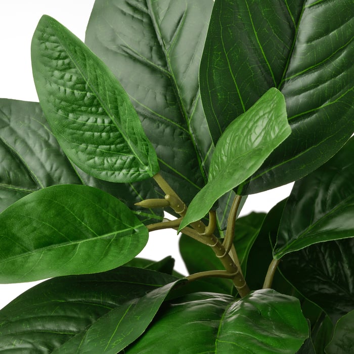 FEJKA artificial potted plant, indoor/outdoor Magnolia, 9" IKEA