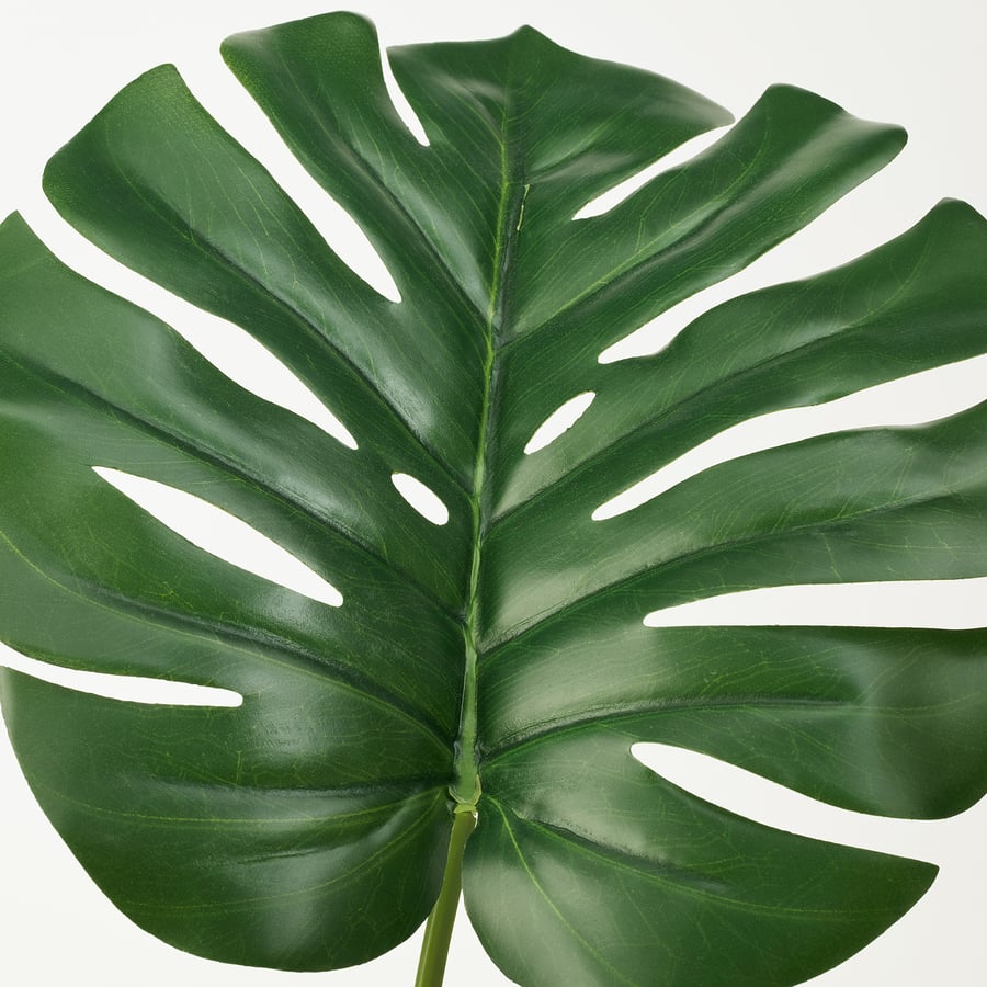 FEJKA artificial potted plant, indoor/outdoor monstera, 7 ½" IKEA