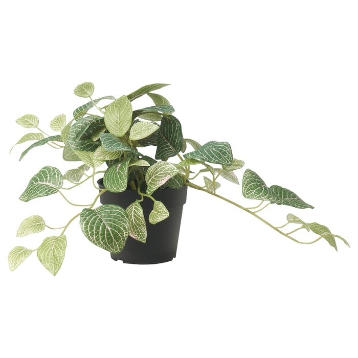 FEJKA artificial potted plant, indoor/outdoor mosaic plant/hanging, 3 ½" IKEA