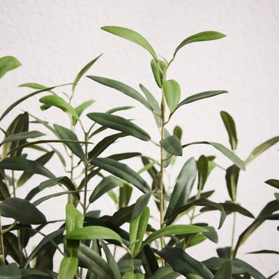FEJKA Artificial potted plant, indoor/outdoor/Olive tree green, 7 ½ "