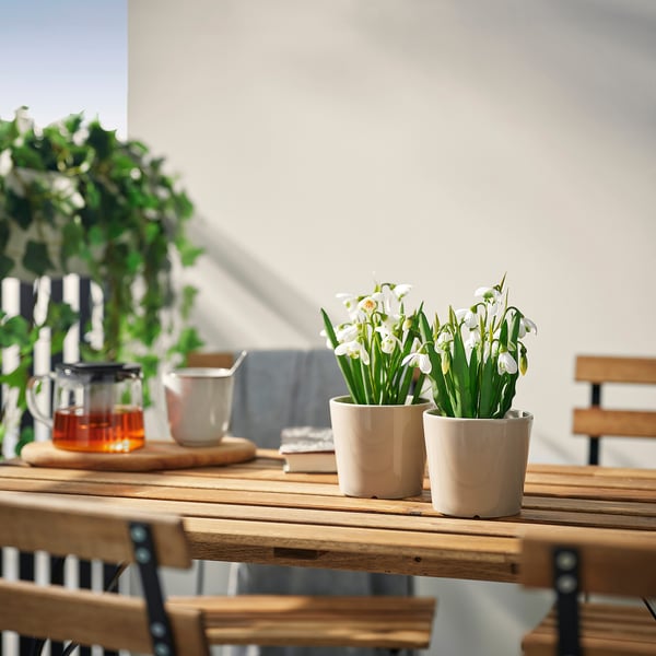 FEJKA Artificial potted plant, indoor/outdoor/snowdrop white, 3 ½ "