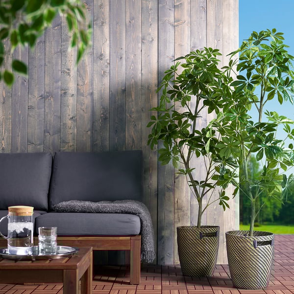 FEJKA Artificial potted plant, indoor/outdoor Umbrella tree, 9" IKEA