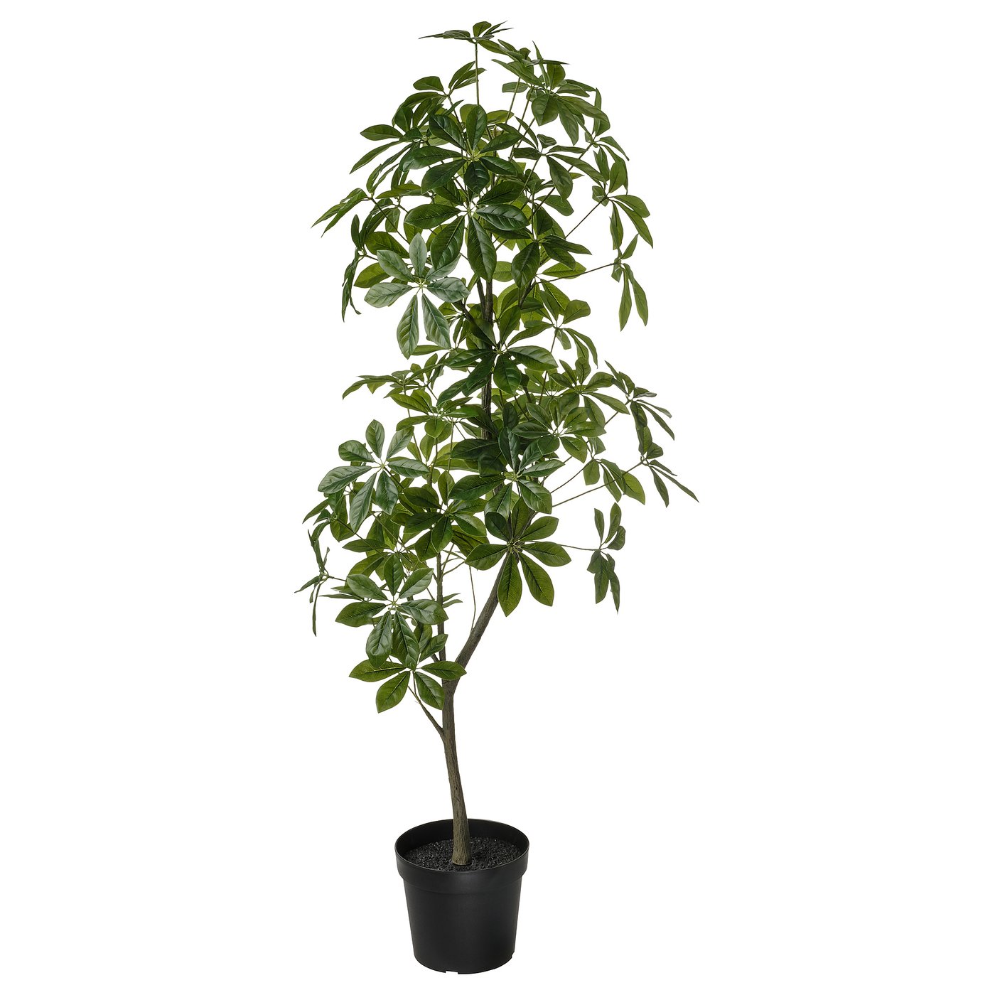 FEJKA Artificial potted plant, indoor/outdoor Umbrella tree, 9" IKEA
