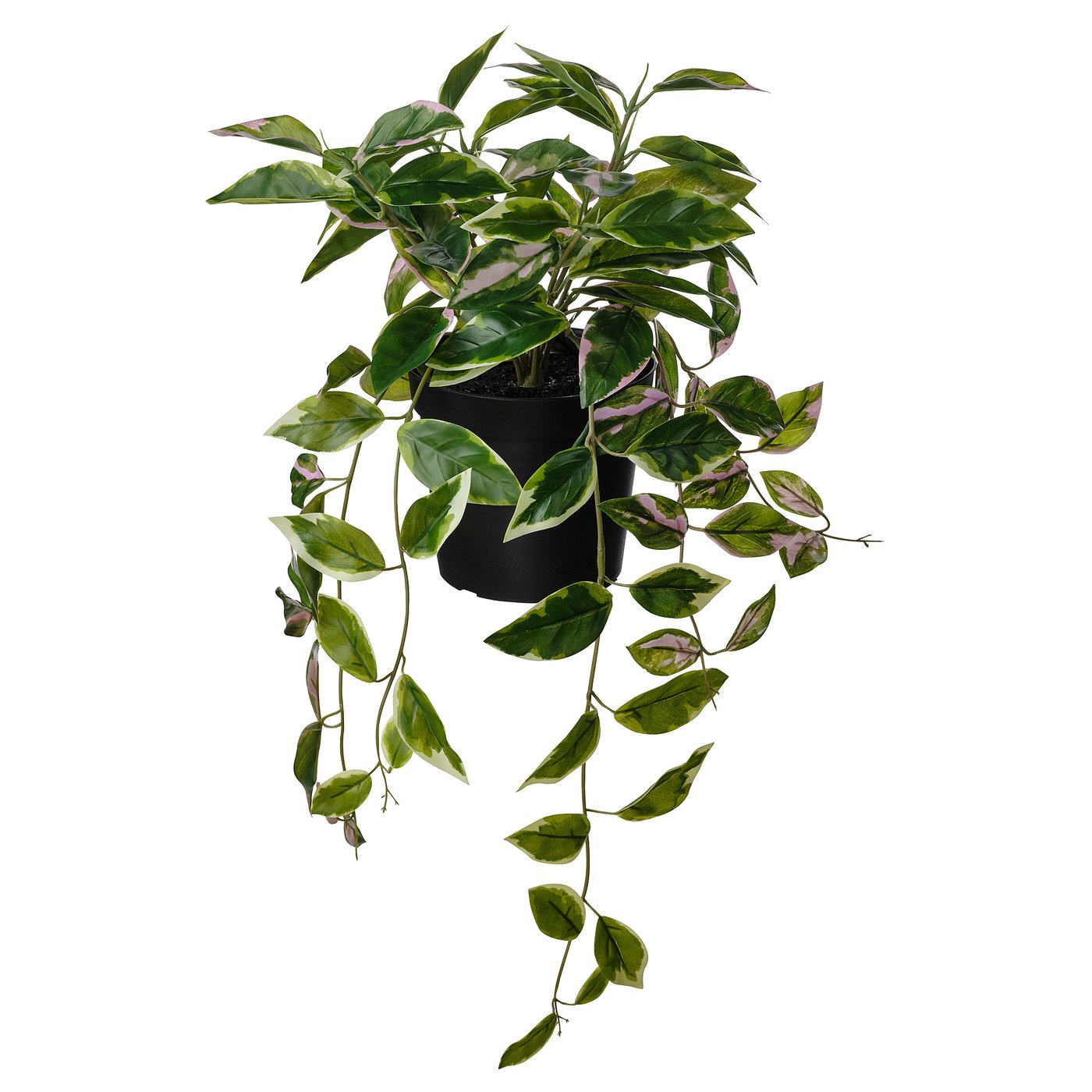 FEJKA Artificial potted plant, indoor/outdoor wax plant/hanging, 6" IKEA