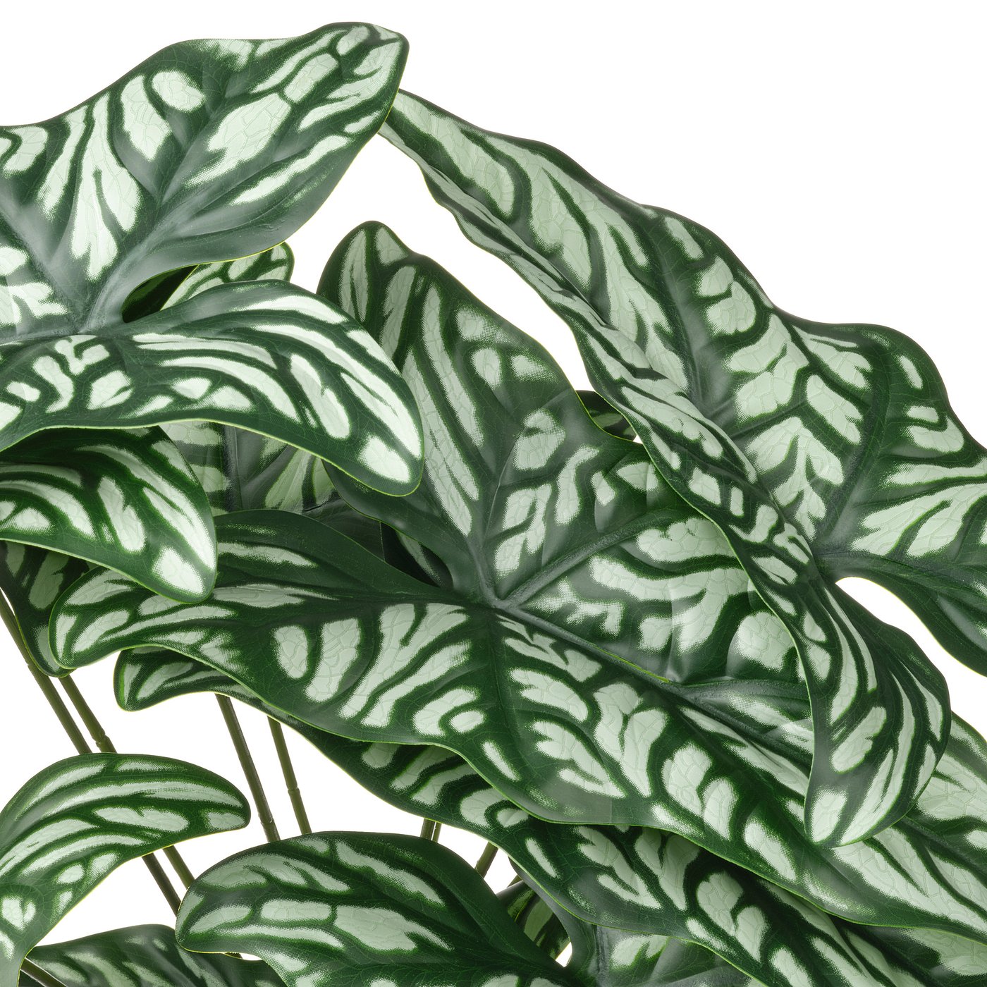 Artificial potted plant, indoor/outdoor Wondrous cerces 4