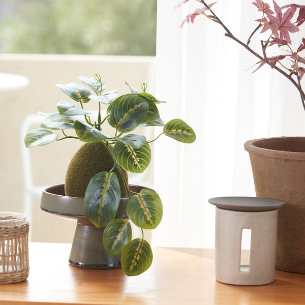 FEJKA artificial potted plant, moss, 3 ½" IKEA