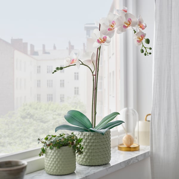 FEJKA Artificial potted plant, Orchid white, 4 ¾ "