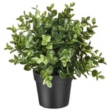 FEJKA Artificial potted plant, oregano, 3 ½ "