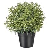 FEJKA Artificial potted plant, Rosemary, 3 ½ "