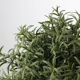 FEJKA Artificial potted plant, Rosemary, 3 ½ "