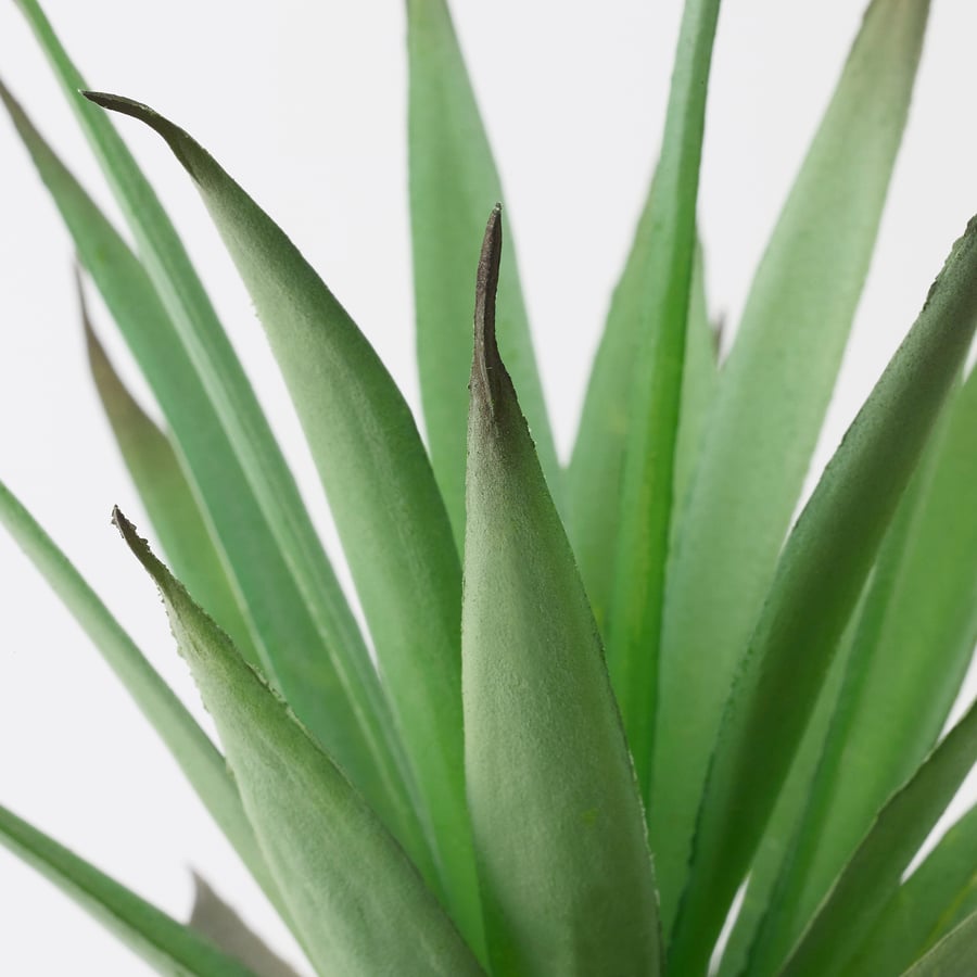 FEJKA artificial potted plant with pot, indoor/outdoor Succulent, 2 ¼