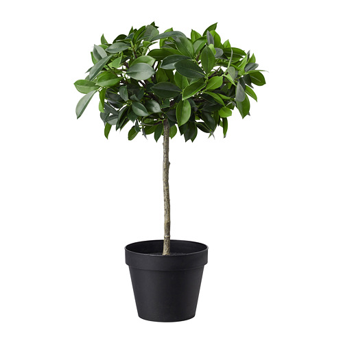 FEJKA Artificial potted plant IKEA
