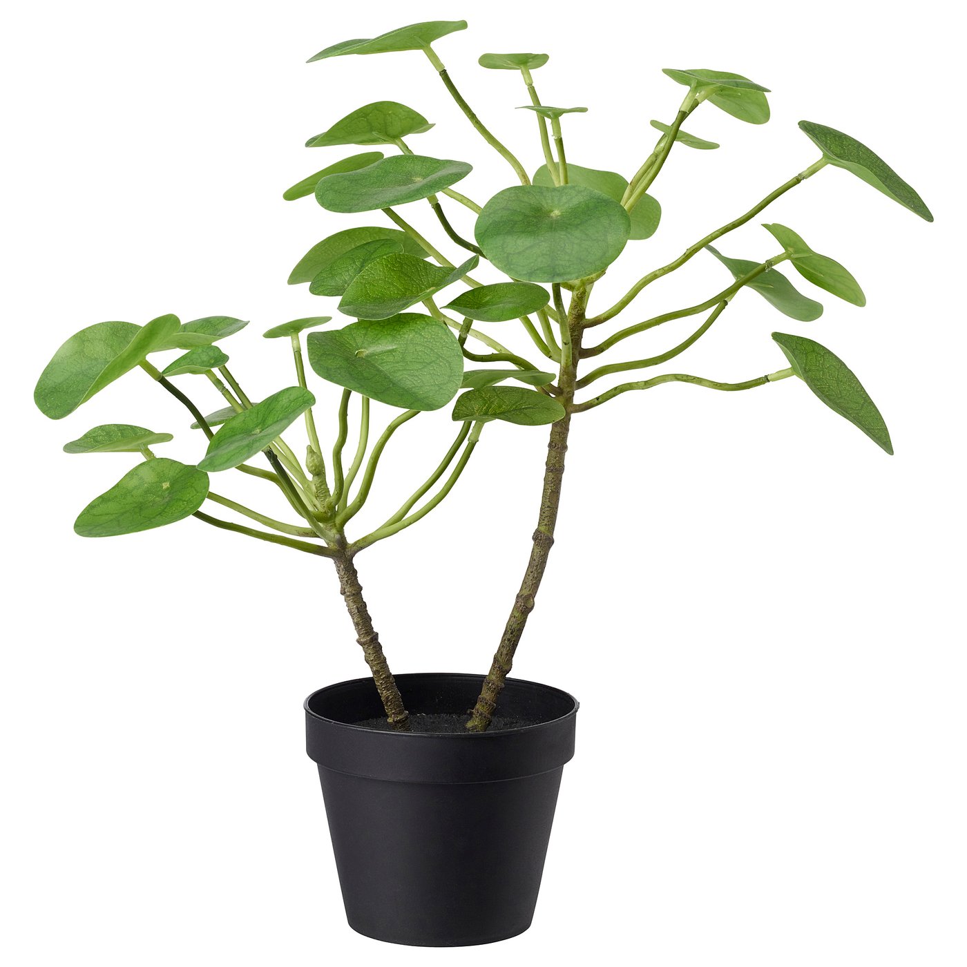 Fejka Artificial Potted Plant Indoor Outdoor Pilea Ikea