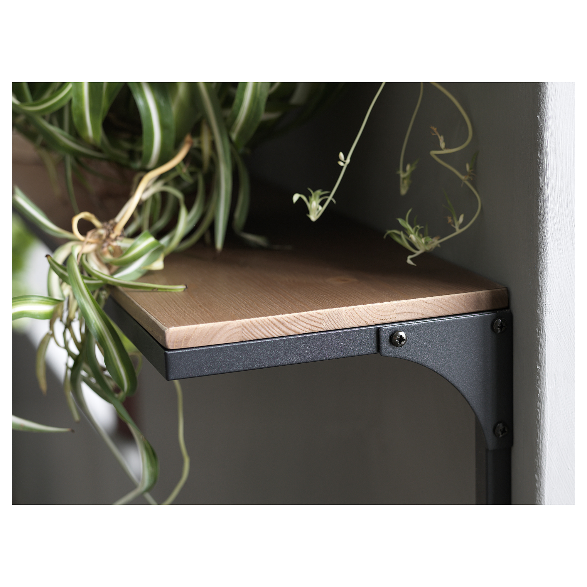 FJÄLLBO Wall shelf, black, 39 3/4x7 7/8" IKEA