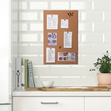 FLÖNSA Memo board with pins, cork, 20 ½x13 "