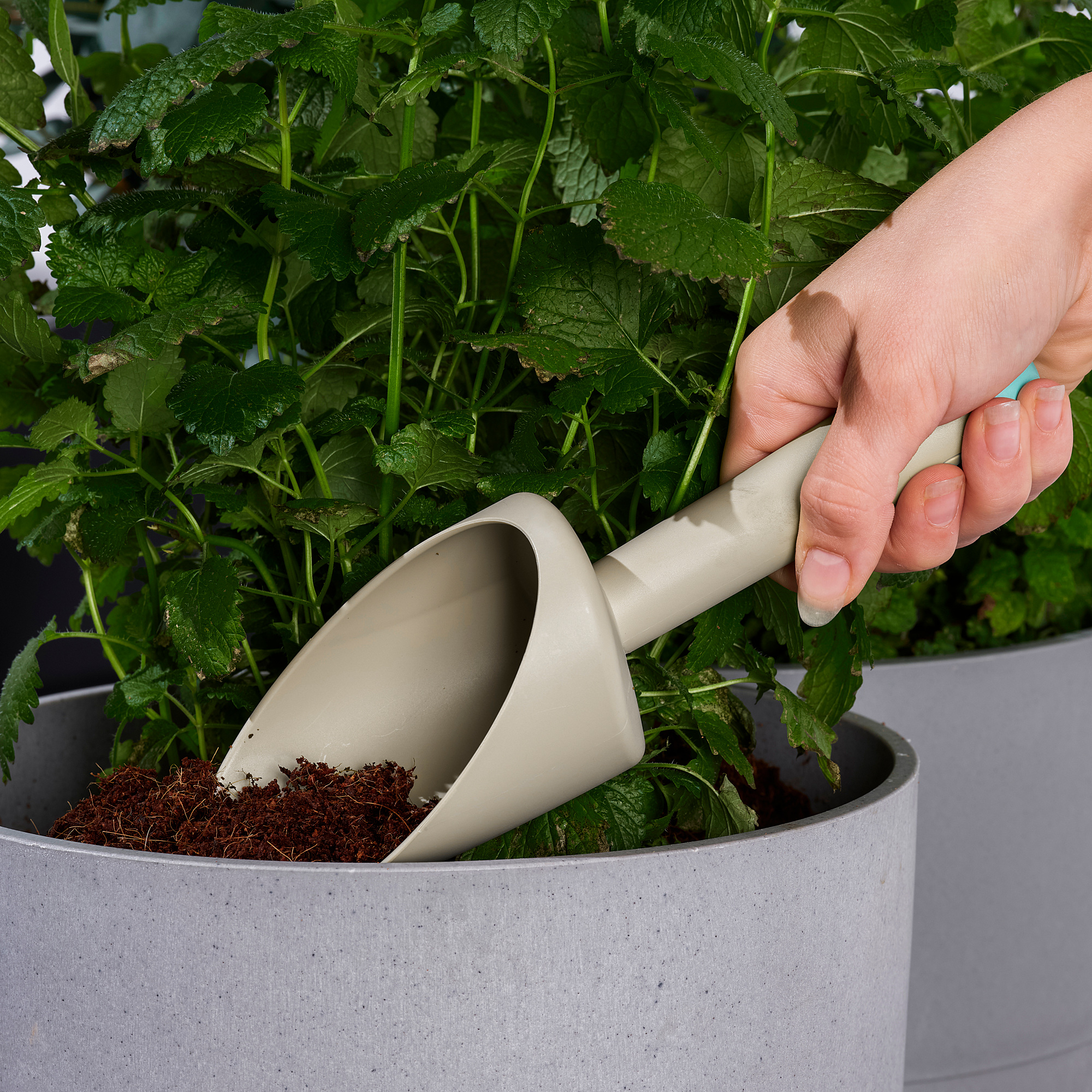 GRÄSMARÖ 3piece gardening tool set, indoor/outdoor beige/light