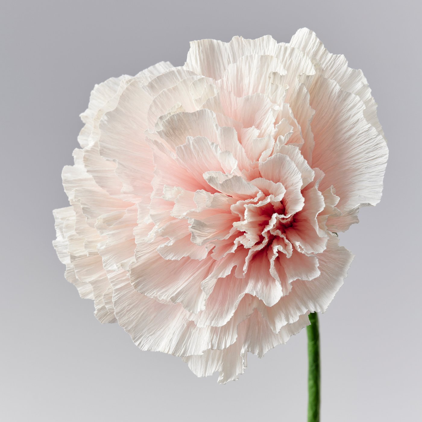Artificial flower, paper/carnation white 3