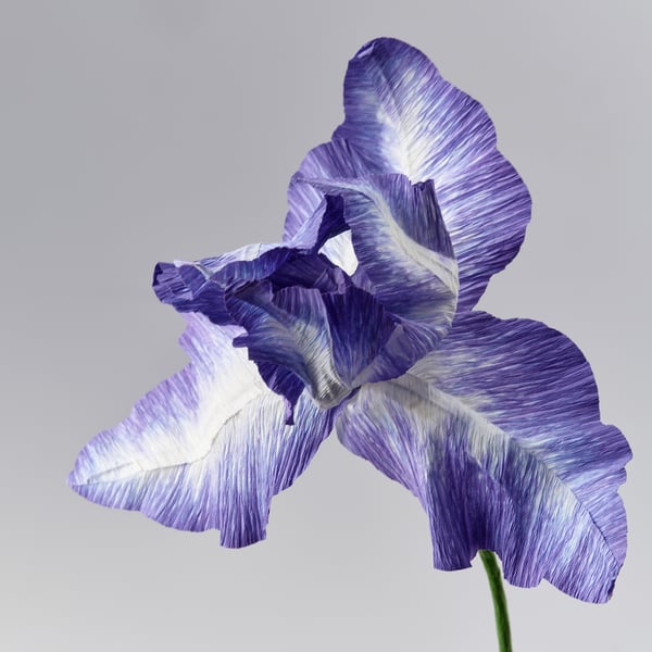 GULDSPETT Artificial flower, paper/iris blue, 17 ¾ "