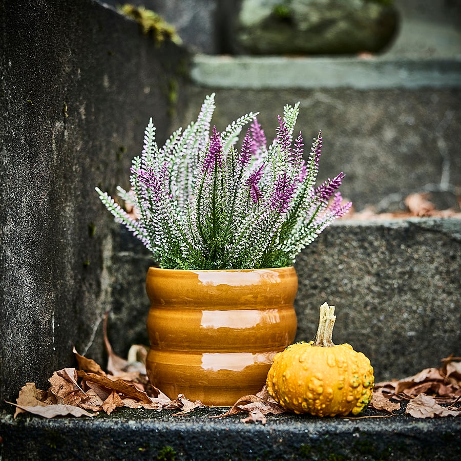 HASSELBUKETT plant pot, indoor/outdoor/brown-yellow, 4 ¾