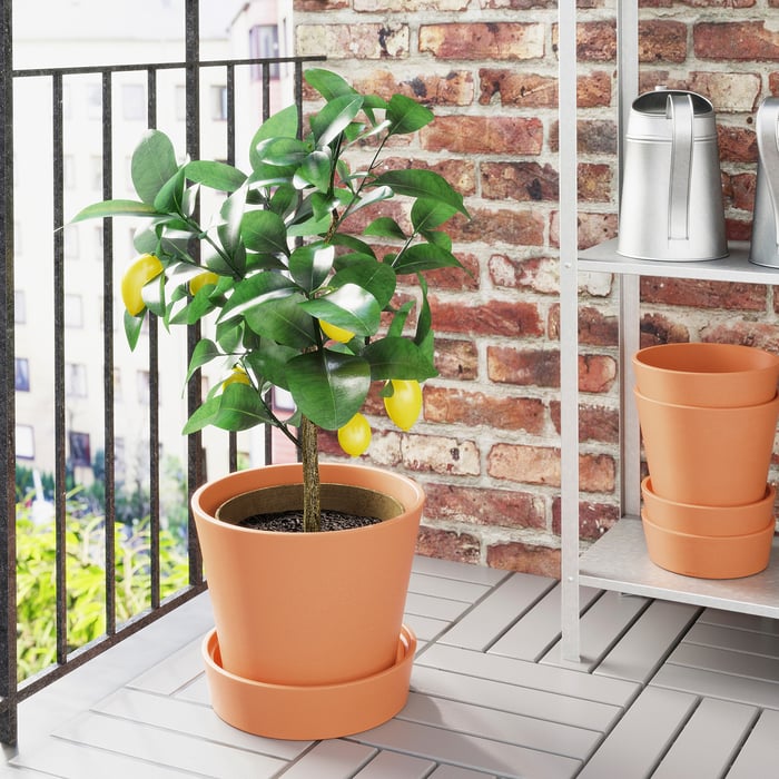 Outdoor Planters, Flower Boxes & Pots IKEA