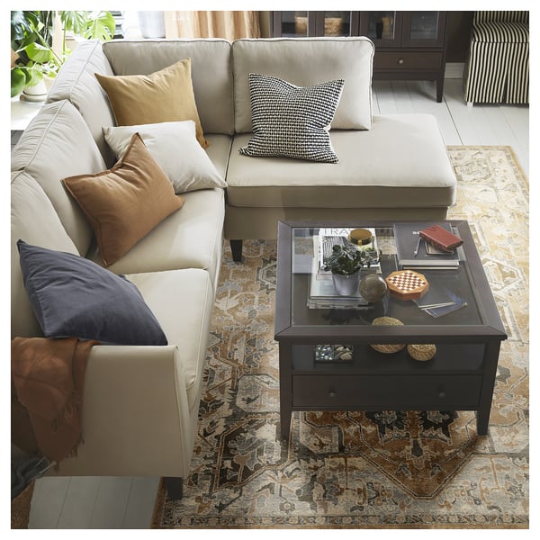 Cream sofa, dark coffee table, books, plant, rug.