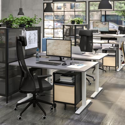 Modern office with two JÄRVFJÄLLET chairs in black mesh and white frames. Desks have computers, plants, and large windows.