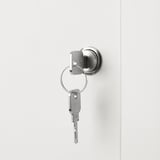 KALLAX Insert with lockable door, white, 13x13 "
