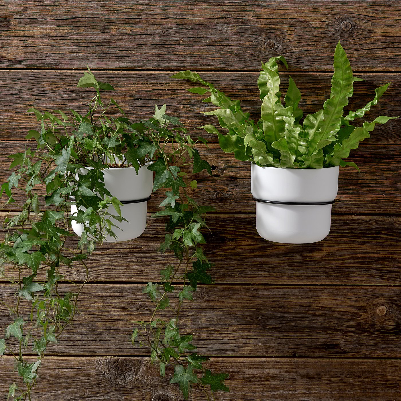 Plant pot holder, indoor/outdoor black 3