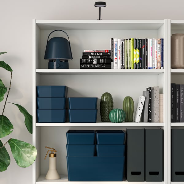 White bookshelf with blue boxes, green plants, and a blue lamp.