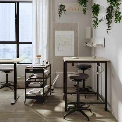 Modern office setup with adjustable height desks, swivel chairs, and shelves adorned with plants and decor.