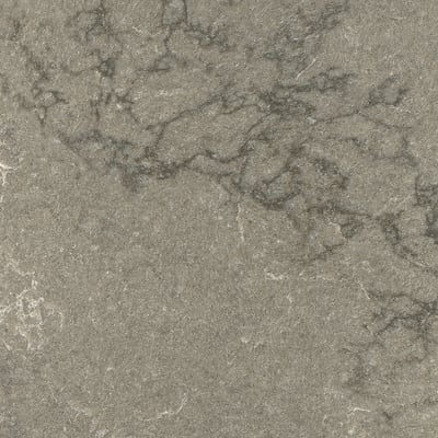 Smooth, speckled grey worktop, sleek, seamless, non-porous texture.