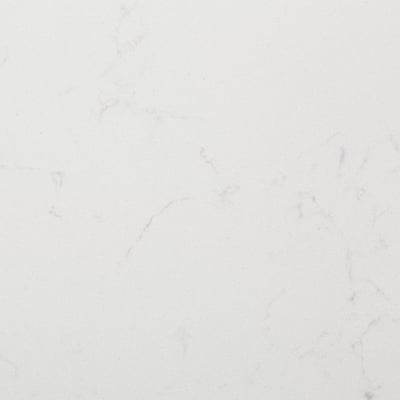Smooth, pristine white worktop with delicate, natural veining. Seamless, non-porous surface.