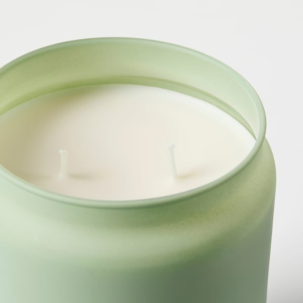 LÖVSKOGSLUND Scented cndl in glass w lid/2 wicks, apple/green, 100 hr