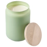 LÖVSKOGSLUND Scented cndl in glass w lid/2 wicks, apple/green, 100 hr