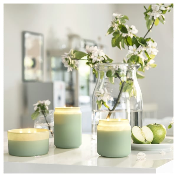 LÖVSKOGSLUND Scented cndl in glass w lid/2 wicks, apple/green, 100 hr