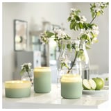 LÖVSKOGSLUND Scented cndl in glass w lid/2 wicks, apple/green, 100 hr