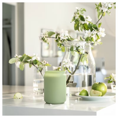 LÖVSKOGSLUND Scented cndl in glass w lid/2 wicks, apple/green, 100 hr