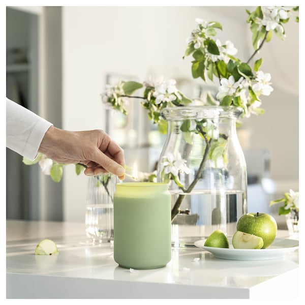 LÖVSKOGSLUND Scented cndl in glass w lid/2 wicks, apple/green, 100 hr