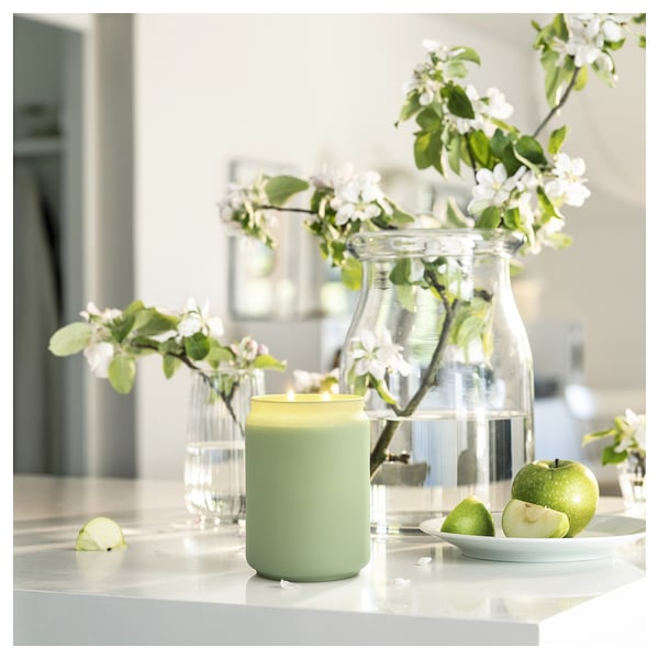 LÖVSKOGSLUND Scented cndl in glass w lid/2 wicks, apple/green, 100 hr