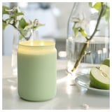 LÖVSKOGSLUND Scented cndl in glass w lid/2 wicks, apple/green, 100 hr