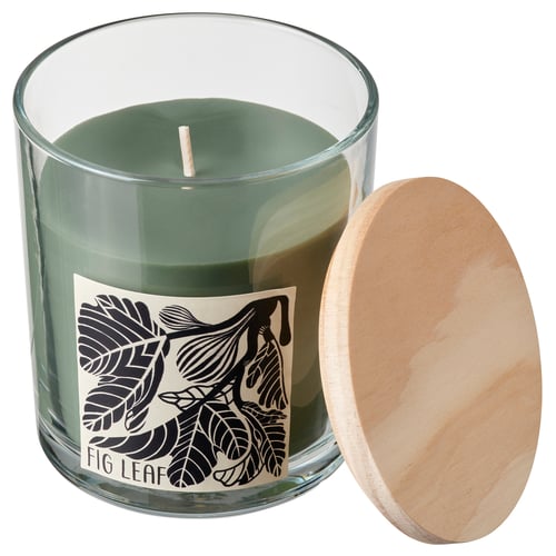 LOTSFÅGEL Scented candle in glass with lid, Fig leaf green, 40 hr