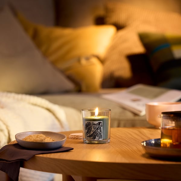 LOTSFÅGEL Scented candle in glass with lid, Fig leaf green, 40 hr