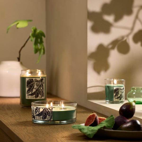 LOTSFÅGEL Scented cndl in glass w lid/3 wicks, Fig leaf green, 25 hr