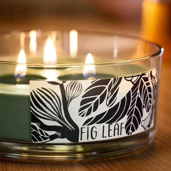 A glass fig leaf scented candle with three burning wicks, featuring black and white leafy design, sits on a wooden table.