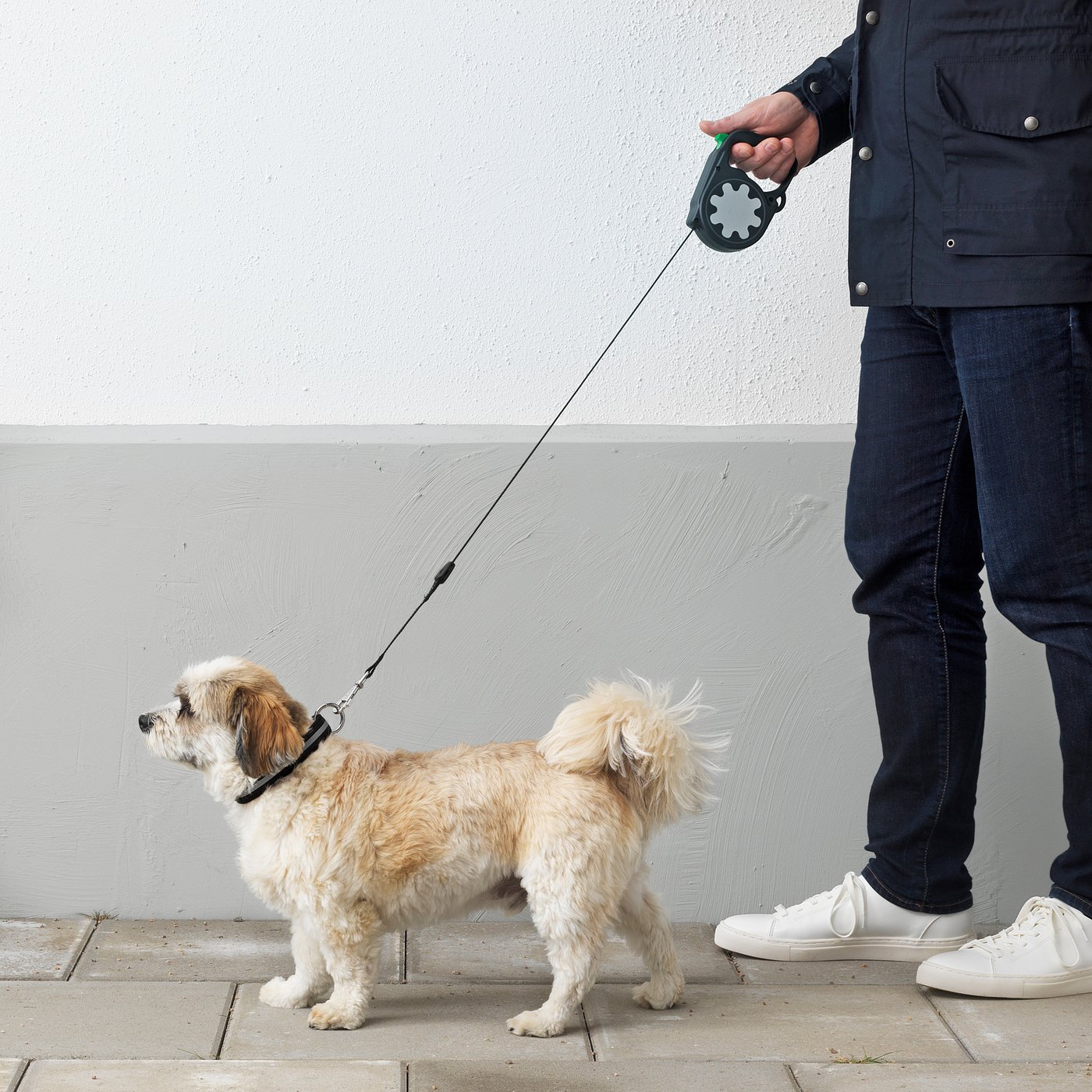 retractable leash for 100 lb dog