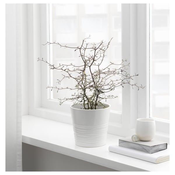 liner ejendom afslappet MUSKOT Plant pot, white, 4 ¾" - IKEA