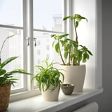 PERSILLADE Plant pot, light beige, 4 ¾ "